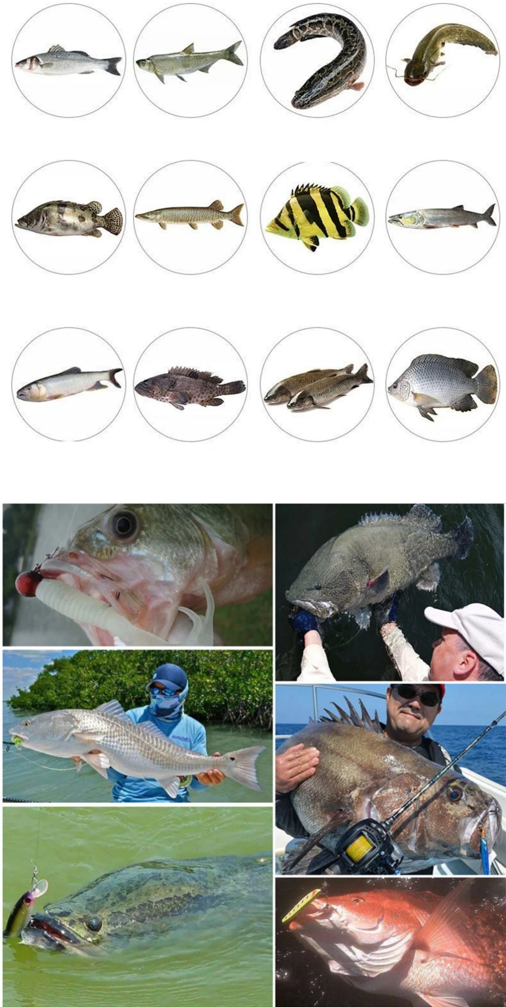 Luminous Saltwater Artificial Fishing Lures